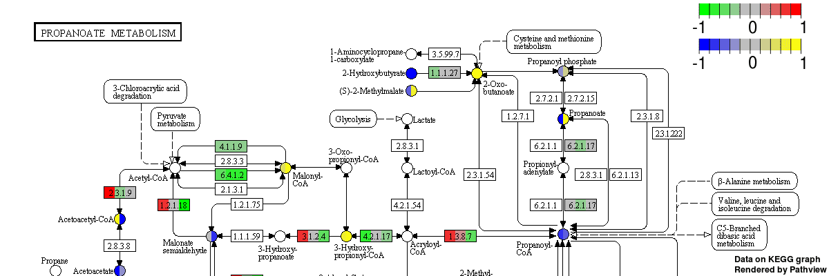 Home - Bioinformatics Services Division